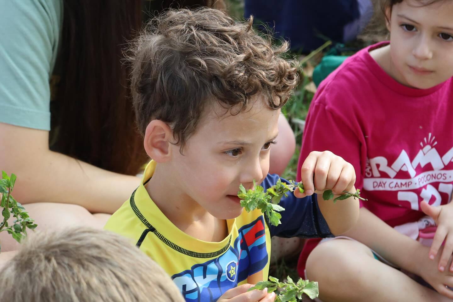 527885987 18322707700229929 3902059575645349608 n